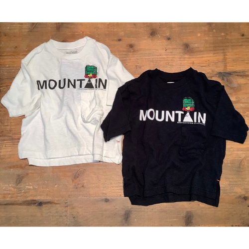 DENIM DUNGAREEテンジクWOODSTOCK MOUNTAIN BIG TEE s - koguma online