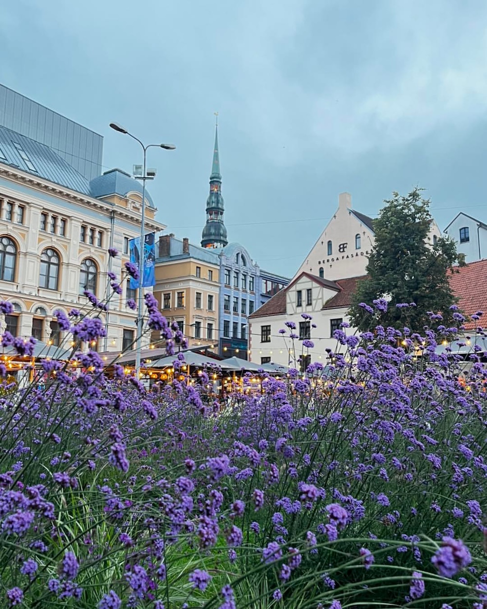 ڥۥȥӥȥ˥ȥ륳ĥ󥹥饤֥