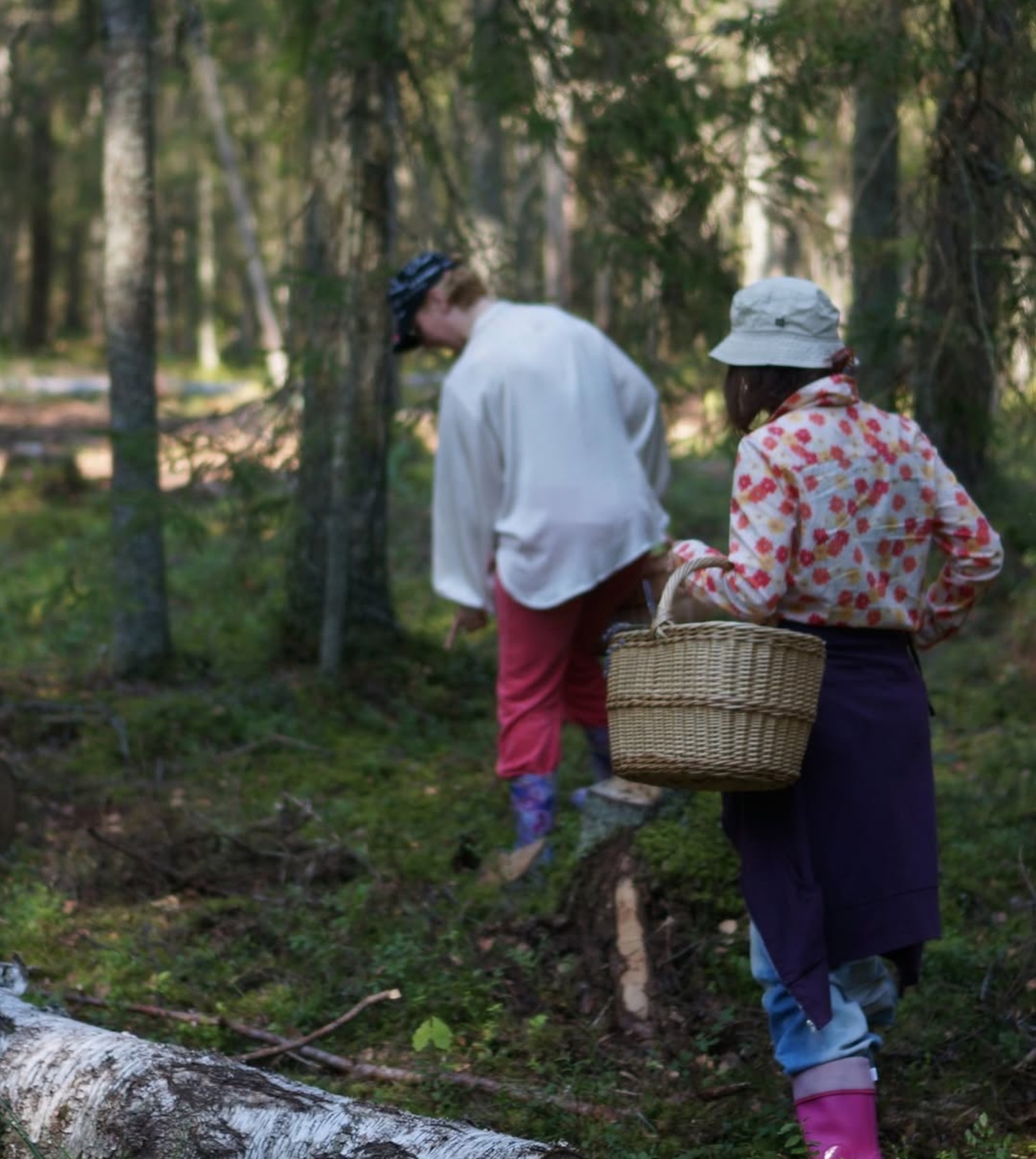 �ڥ����ۥ�ȥӥ��ι�̱Ū��̣�ϡ�����