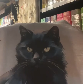 �����ס���������åȡ��֥��å���