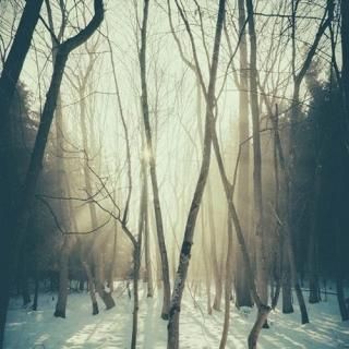 ʡ���������쥯�Ȥξ��ʲ���