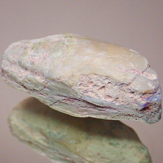 貝化石】フォッシルオパール 36.36ct - オパールルース・原石の専門店 