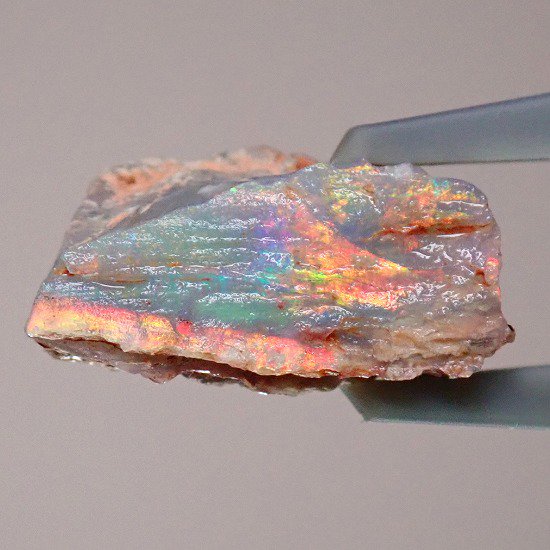 木化石】セミブラックオパール原石 2.65ct - オパールルース・原石の専門店 | オパールマニア -Opal Mania-