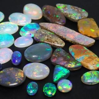 貝化石】シェルオパール/ブラックオパール標本【ライトニングリッジ産