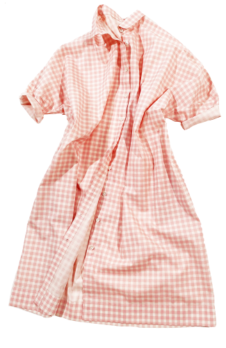 ӥåġgingham