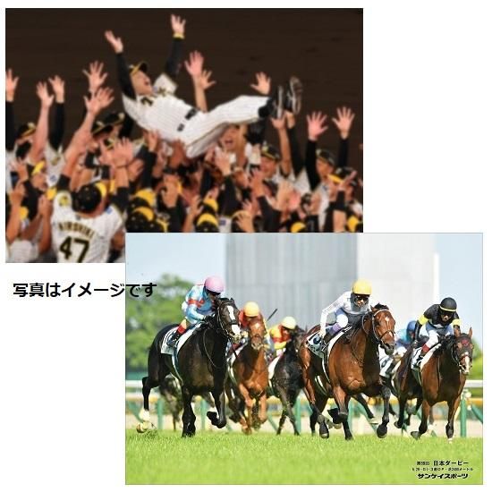 シンザン 昭和40年天皇賞 競馬パネル 日刊スポーツ 2025年最新