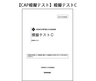 【CAP模擬テスト】模擬テストC
