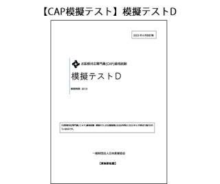 【CAP模擬テスト】模擬テストD