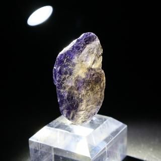 �ڰ���ʪ�ۥ������饤�ȡ������С˸��� / �ޥ��������뻺