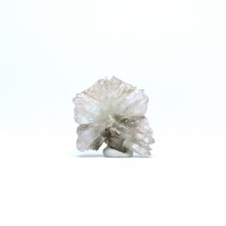 ڰʪۥ饴ʥȡʤС˸ /ڥ󻺡