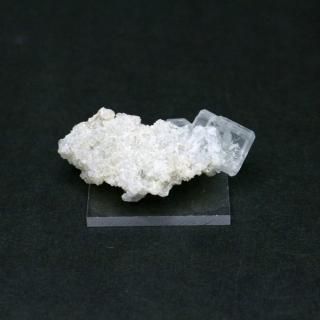 ڰʪۥե饤ȡʷС˸ / 񻺡١