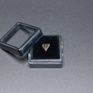 一点物】ダイアスポア双晶（Diaspore）/ トルコ産 ルースケース付