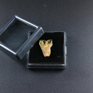 ڰʪۥ꥽٥ʶС/ޥ뻺롼