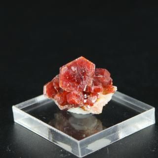 ڰʪۥХʥǥʥ()Сååʥ١ա