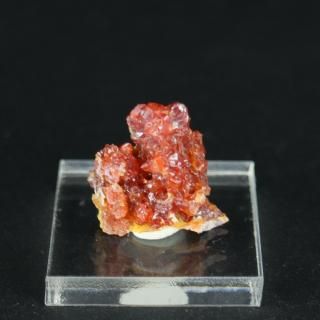 <img class='new_mark_img1' src='https://img.shop-pro.jp/img/new/icons15.gif' style='border:none;display:inline;margin:0px;padding:0px;width:auto;' />ڰʪۥ󥫥(Ȱ)뾽åݡɻʥ١ա