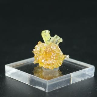 <img class='new_mark_img1' src='https://img.shop-pro.jp/img/new/icons15.gif' style='border:none;display:inline;margin:0px;padding:0px;width:auto;' />ڰʪۥ󥫥(Ȱ)뾽åݡɻʥ١ա