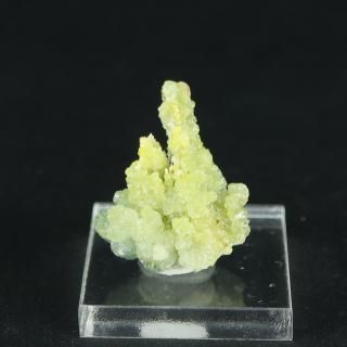 ڰʪۥ󥫥(Ȱ)뾽åݡɻʥ١ա