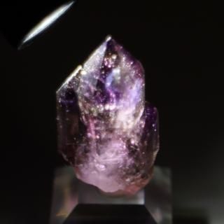 ڰʪۥեȥॢ᥸(徽)СåХ֥ʥա