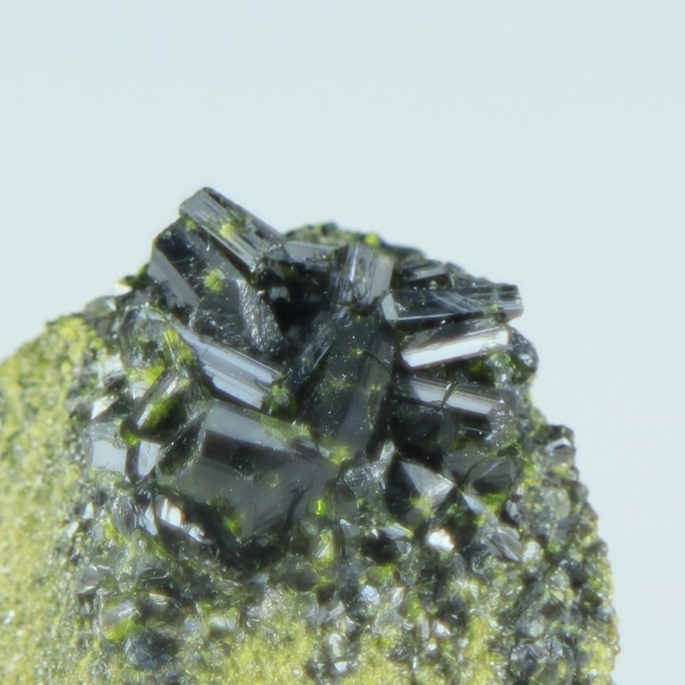【一点物】エピドート(緑簾石)