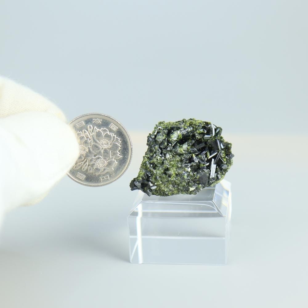 【一点物】エピドート(緑簾石)