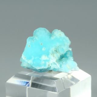 ڰʪۥإߥե(۶˹)Сå󥴶¹񻺡ʥա