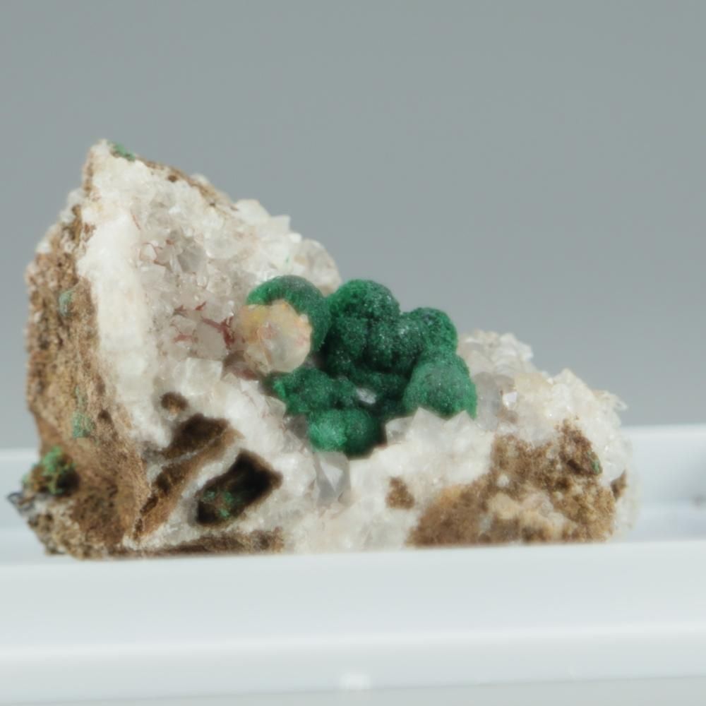 【一点物】ボトリオイドマラカイ