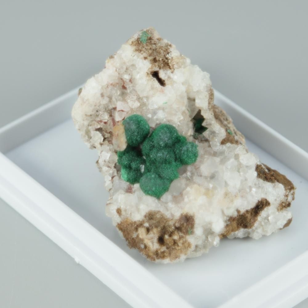 【一点物】ボトリオイドマラカイ