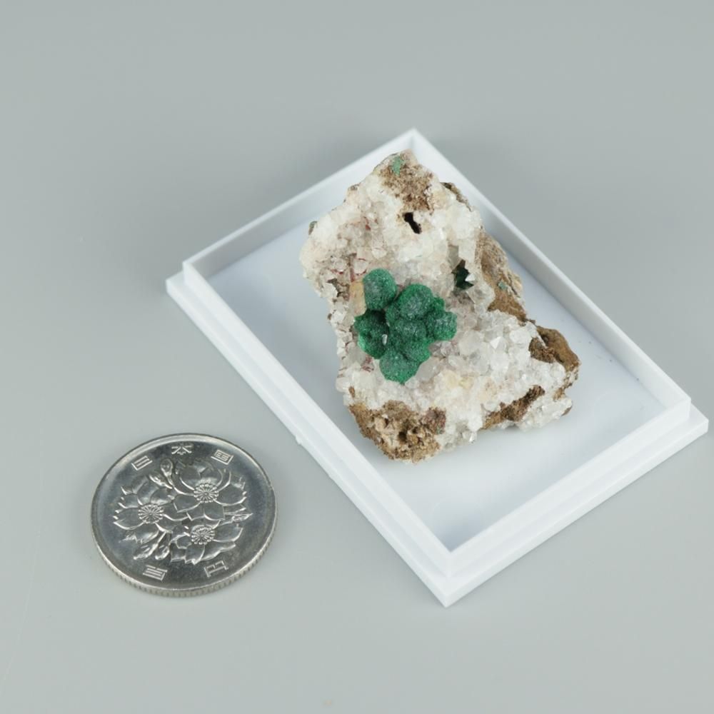 【一点物】ボトリオイドマラカイ