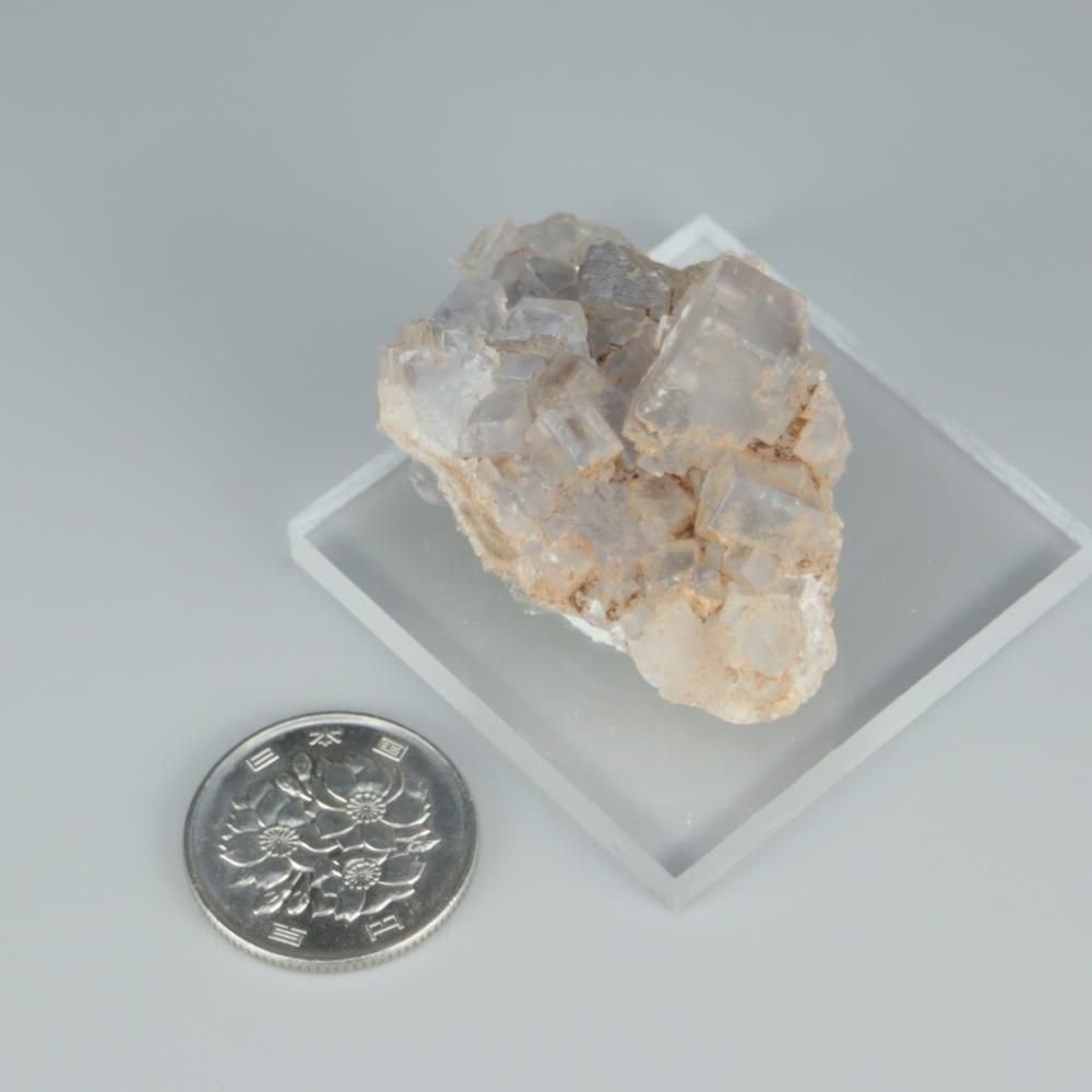 【一点物】フローライト(蛍石)