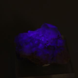 �ڰ���ʪ�ۥե����饤��(����)���Сå��ڥ��󻺡ʥ������١����ա�