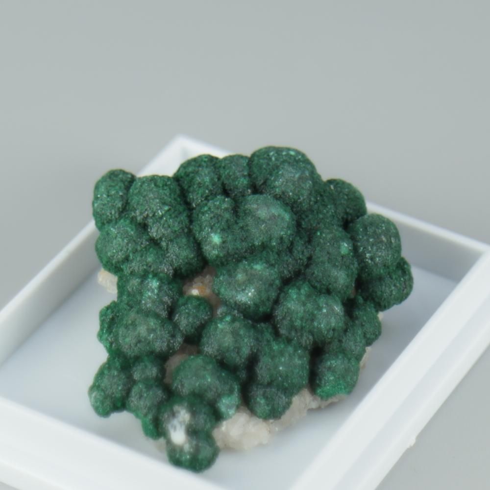 【一点物】ボトリオイドマラカイ