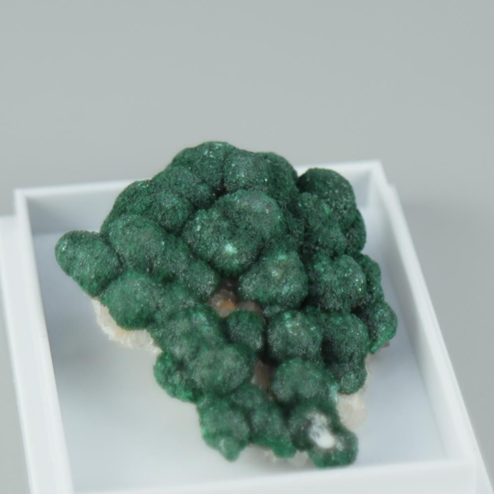 【一点物】ボトリオイドマラカイ