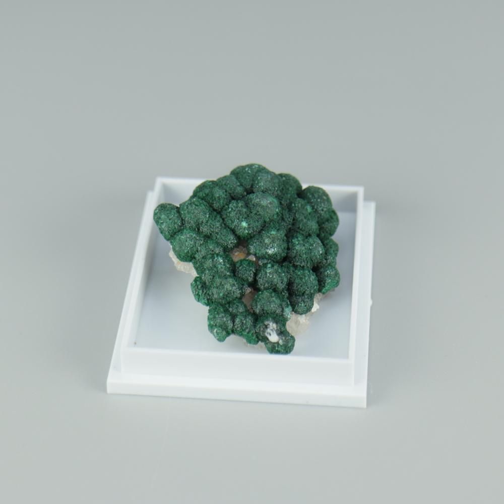 【一点物】ボトリオイドマラカイ