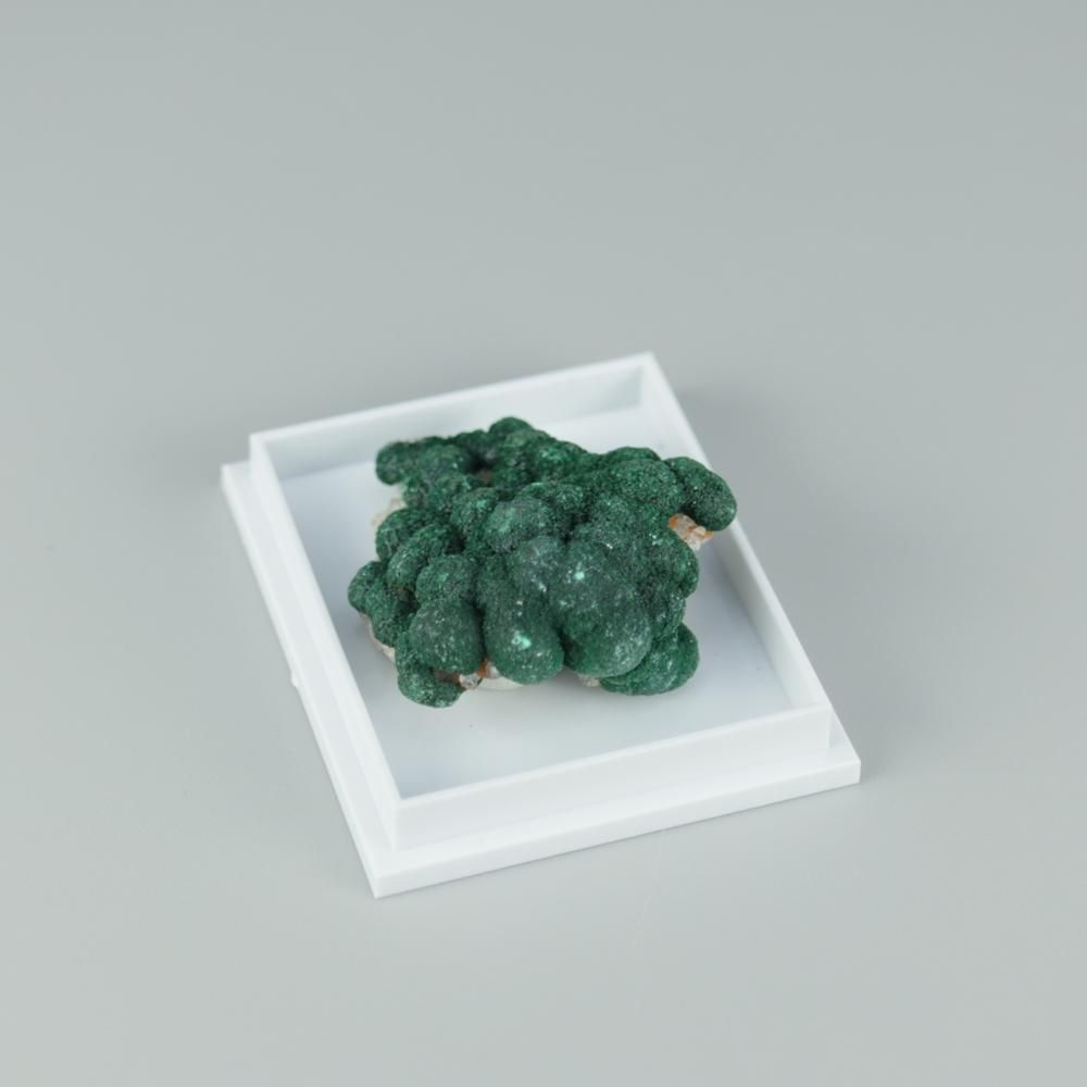 【一点物】ボトリオイドマラカイ