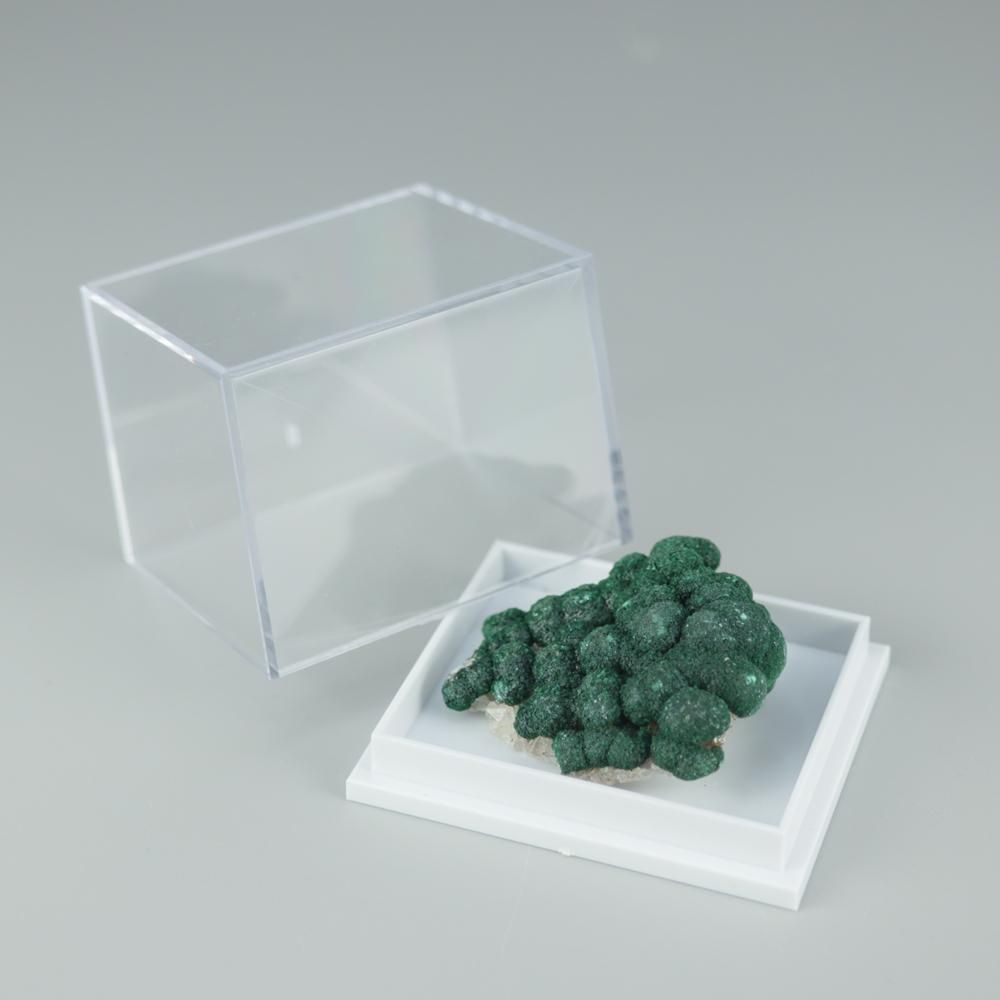 【一点物】ボトリオイドマラカイ