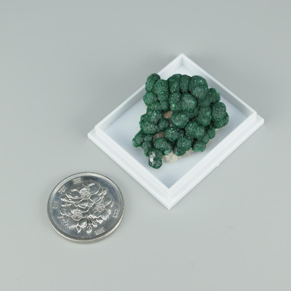 【一点物】ボトリオイドマラカイ