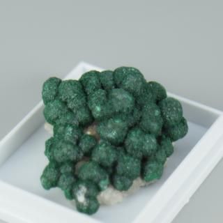 �ڰ���ʪ�ۥܥȥꥪ���ɥޥ饫����on�������ġå���̱�綦�¹񻺡ʥ������ա�