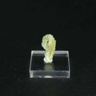 ڰʪۥ󥫥(Ȱ)뾽åݡɻʥ١ա