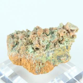 <img class='new_mark_img1' src='https://img.shop-pro.jp/img/new/icons15.gif' style='border:none;display:inline;margin:0px;padding:0px;width:auto;' />ڰʪۥߥʥȸСåɥͥʥդ