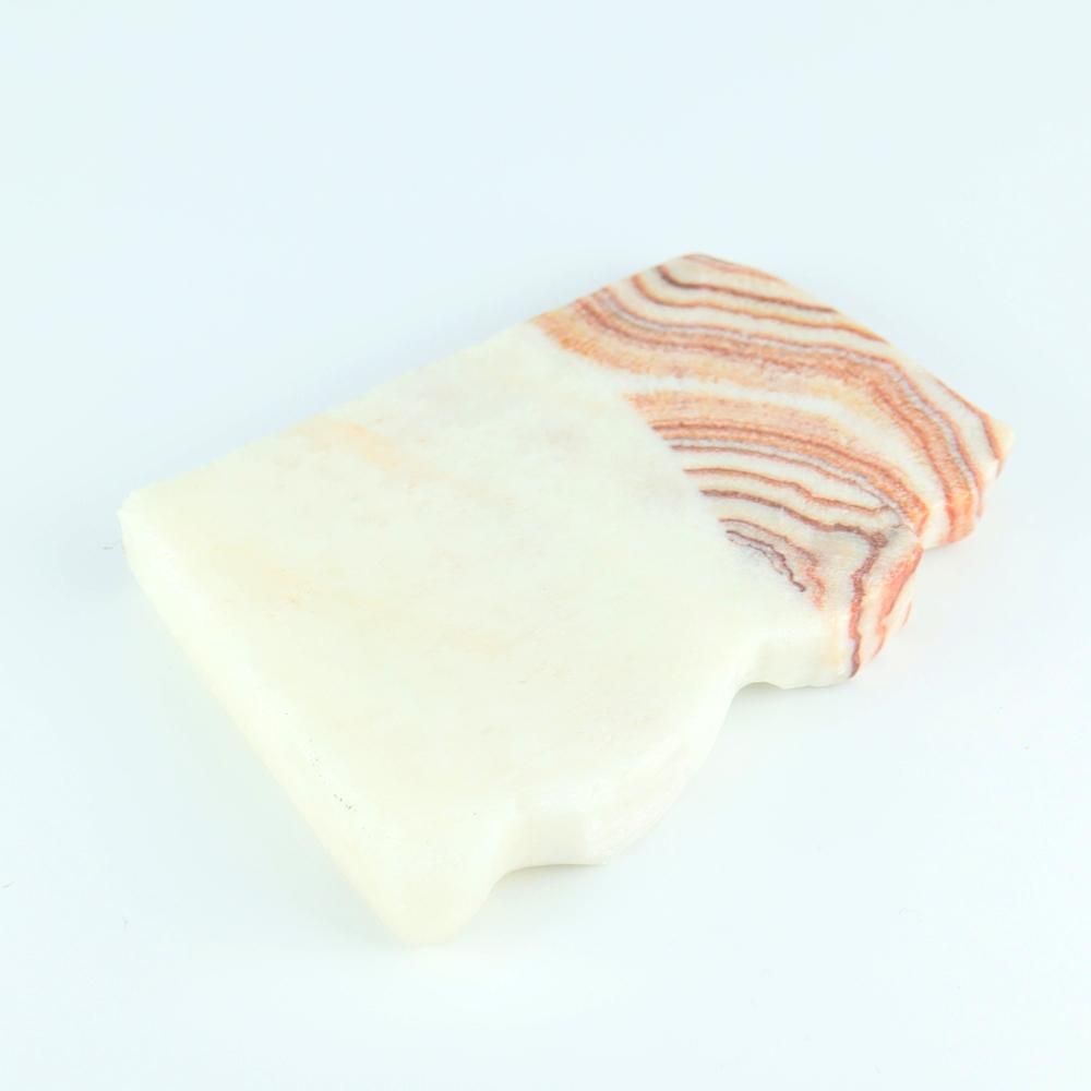 【一点物】豚肉石(ポークストー