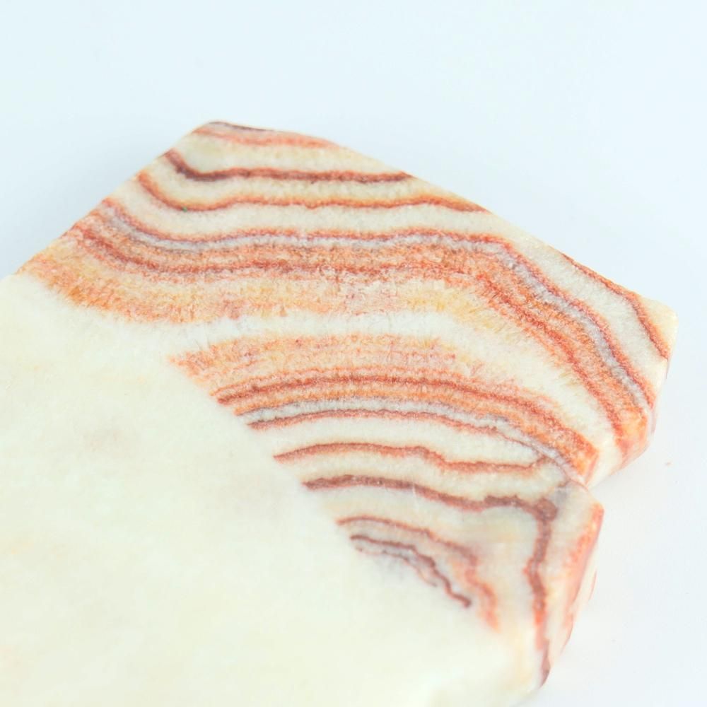 【一点物】豚肉石(ポークストー