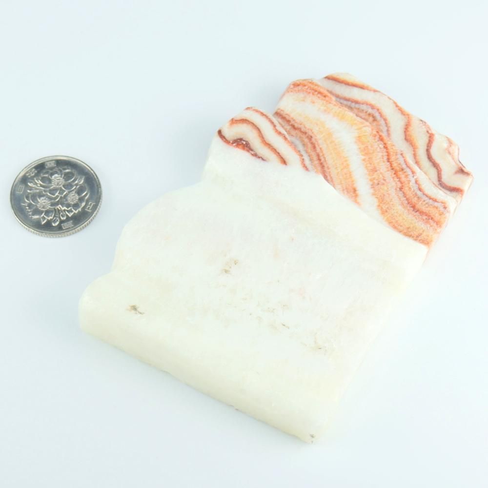 【一点物】豚肉石(ポークストー