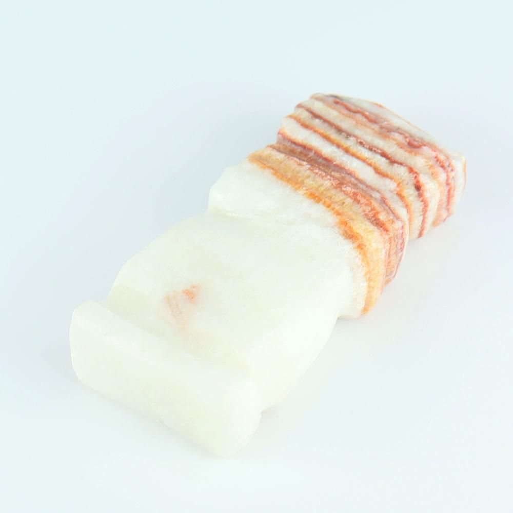 【一点物】豚肉石(ポークストー