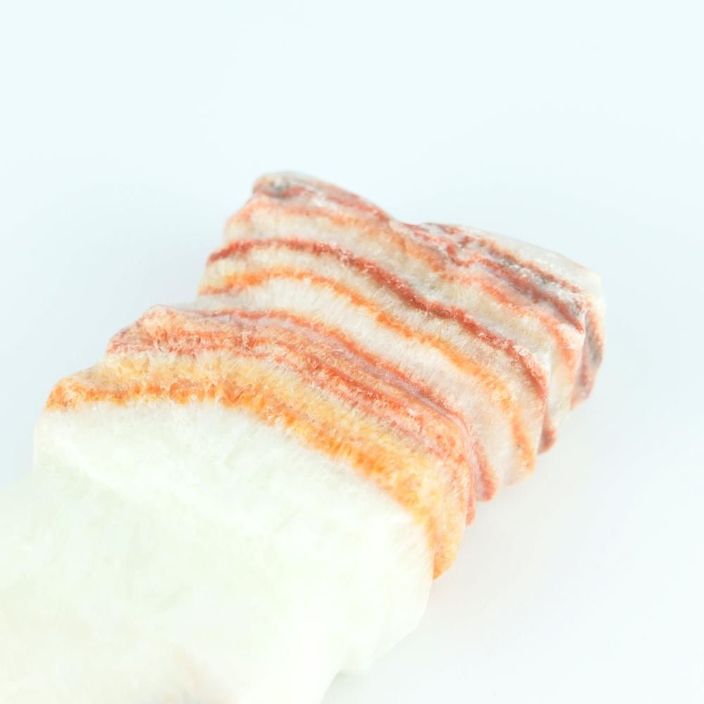 【一点物】豚肉石(ポークストー