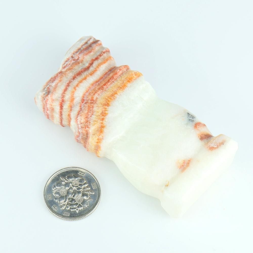 【一点物】豚肉石(ポークストー