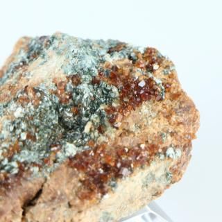 <img class='new_mark_img1' src='https://img.shop-pro.jp/img/new/icons15.gif' style='border:none;display:inline;margin:0px;padding:0px;width:auto;' />ڰʪۥإʥȥͥåȡ饤ȶСåꥢʥդ