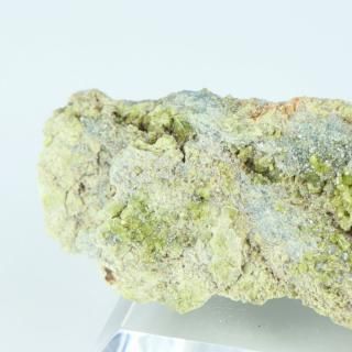 <img class='new_mark_img1' src='https://img.shop-pro.jp/img/new/icons15.gif' style='border:none;display:inline;margin:0px;padding:0px;width:auto;' />ڰʪۥ٥ӥʥȸСåꥢʥդ