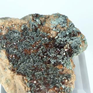 <img class='new_mark_img1' src='https://img.shop-pro.jp/img/new/icons15.gif' style='border:none;display:inline;margin:0px;padding:0px;width:auto;' />ڰʪۥإʥȥͥåȡ饤ȶСåꥢʥդ