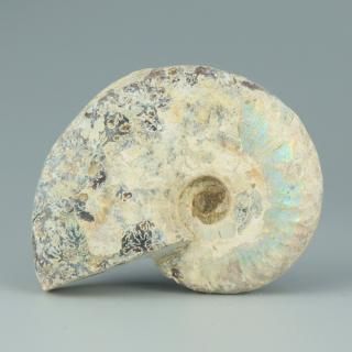 <img class='new_mark_img1' src='https://img.shop-pro.jp/img/new/icons15.gif' style='border:none;display:inline;margin:0px;padding:0px;width:auto;' />ڰʪʥȡʥ쥪˥饹ˡåޥ뻺