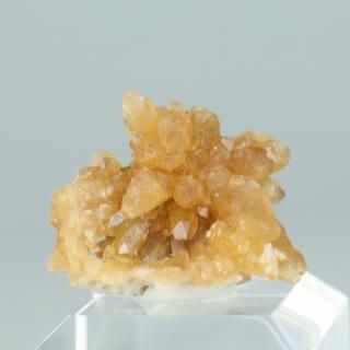 <img class='new_mark_img1' src='https://img.shop-pro.jp/img/new/icons15.gif' style='border:none;display:inline;margin:0px;padding:0px;width:auto;' />ڰʪۥȥСååʥդ